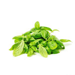 Ogreens Hydroponic Basil 50G