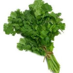 Coriander leaves (Dhania) 100g