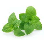 Ogreens Hydroponic Mint Leaves 100G
