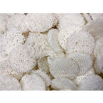 Sattviki Sabudana Coin Papad Plain 200G