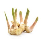 Thai Ginger (Galangal) 100G
